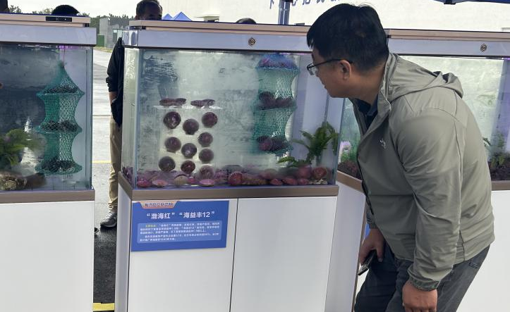 烟台站9月工作简报