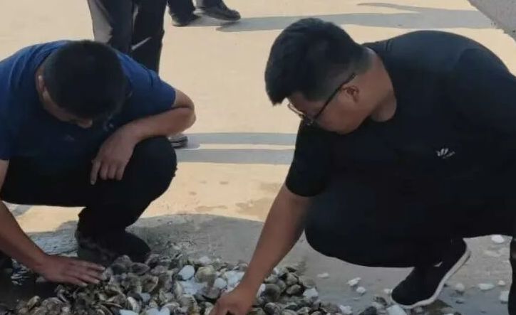 滨州贝类综合试验站推广贝类健康养殖技术