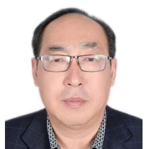 刘永胜研究员